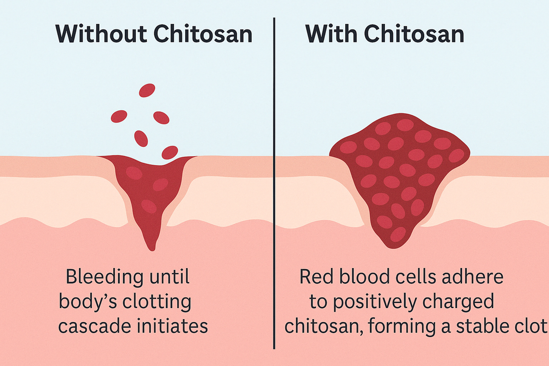 benefits of chitosan