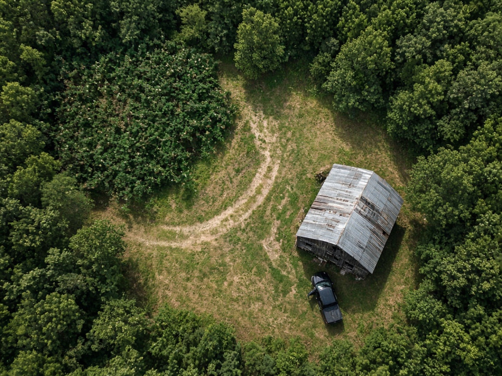 Illustration of the clearing: a blackberry thicket, a dirt path, and a pickup truck beside a barn